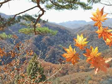 山東廢鋼價格行情最新分析