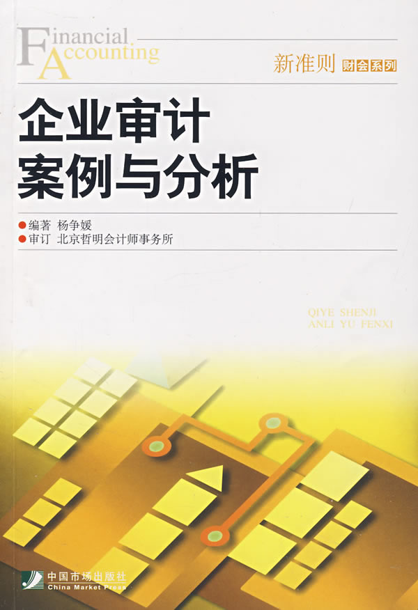 企業(yè)財務(wù)風(fēng)險審查與應(yīng)對策略，最新審計案例分析