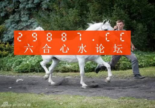 7777788888新版跑狗圖論壇,實(shí)地?cái)?shù)據(jù)驗(yàn)證執(zhí)行_蘋果版36.255