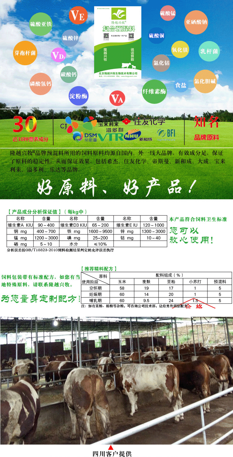 新澳門資料大全正版資料2024年免費下載,家野中特,實效設(shè)計解析策略_M版87.343