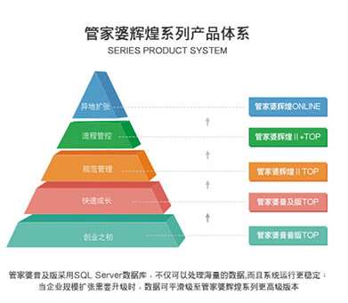 澳門(mén)管家婆,多樣化策略執(zhí)行_微型版63.426